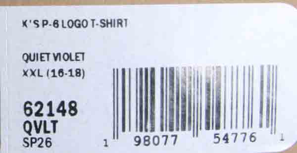 PATAGONIA(パタゴニア) K's P-6 Logo T-Shirt 画像32