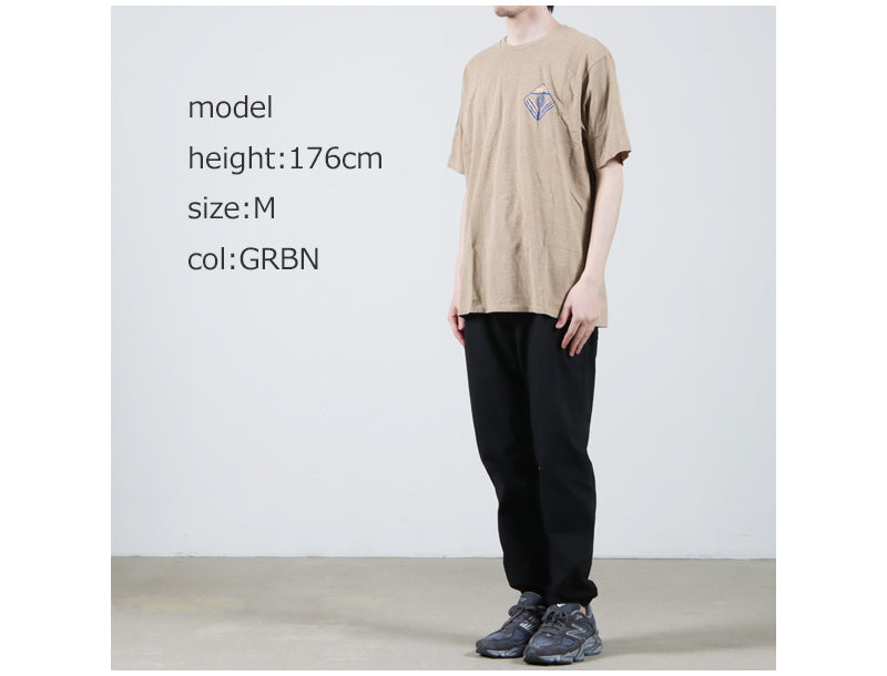 PATAGONIA(パタゴニア) M's Dawn to Dusk Responsibili-Tee 画像22