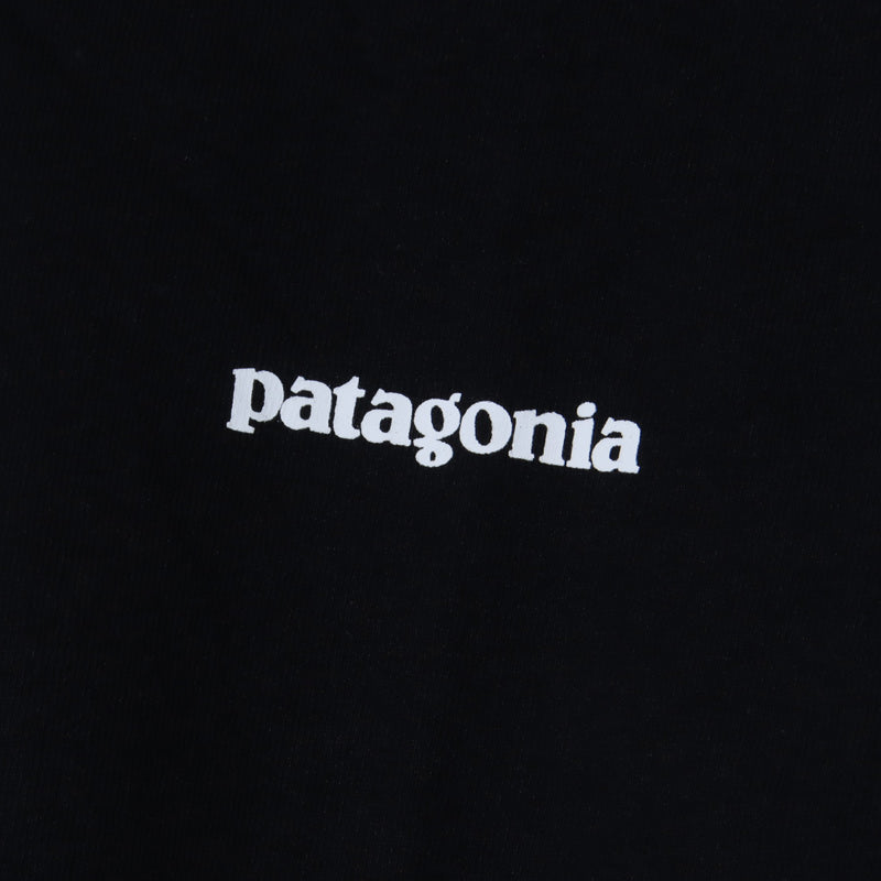 PATAGONIA(パタゴニア) M's L/S P-6 Logo Responsibili-Tee 画像13