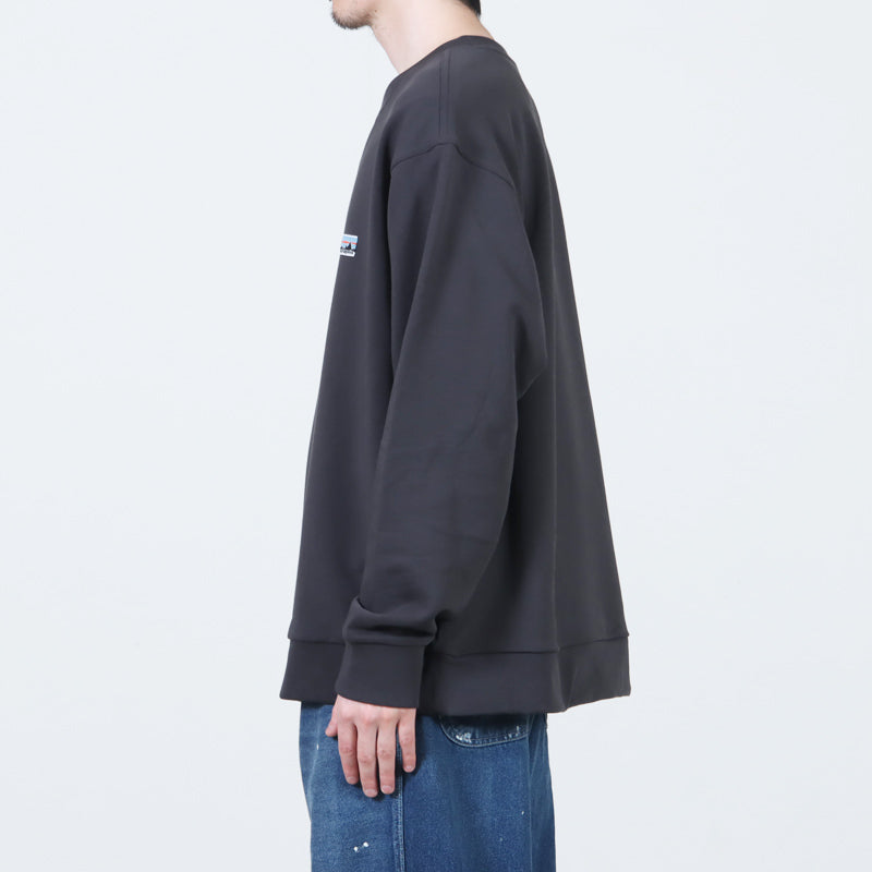 PATAGONIA(パタゴニア) Daily Crewneck Sweatshirt 画像11