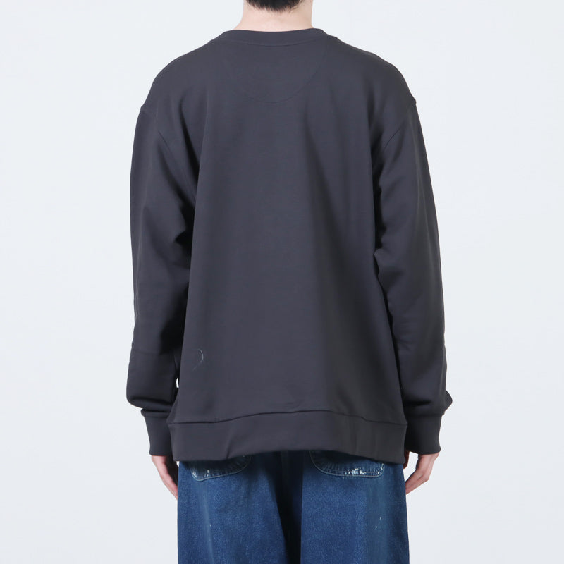 PATAGONIA(パタゴニア) Daily Crewneck Sweatshirt 画像12