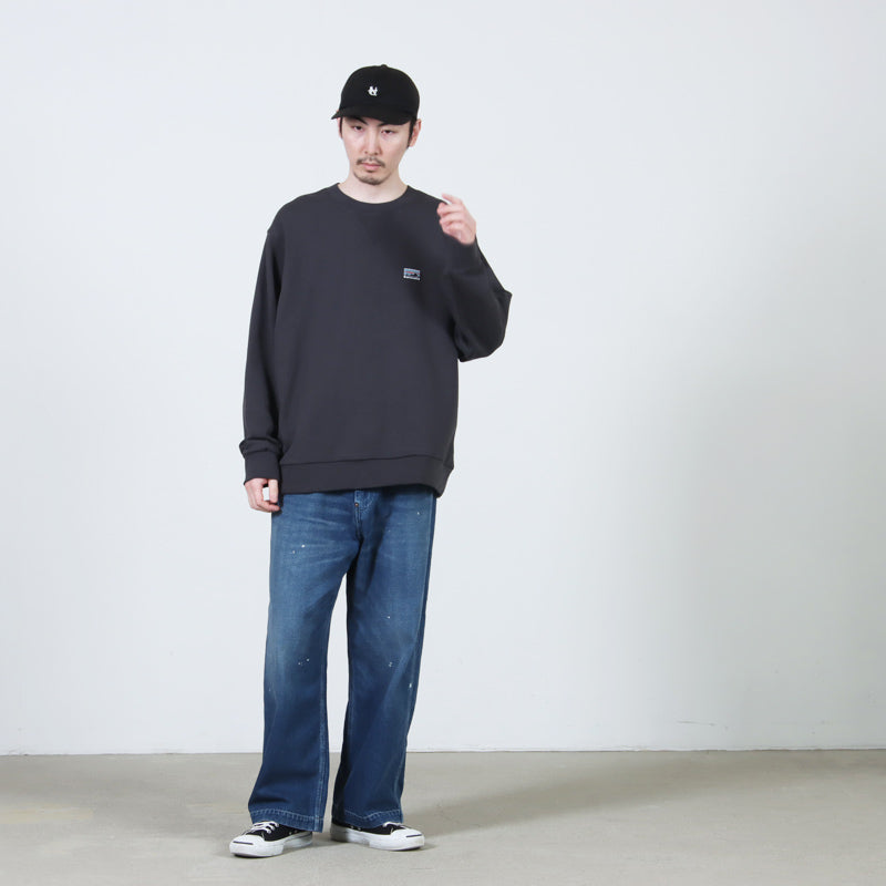 PATAGONIA(パタゴニア) Daily Crewneck Sweatshirt 画像24