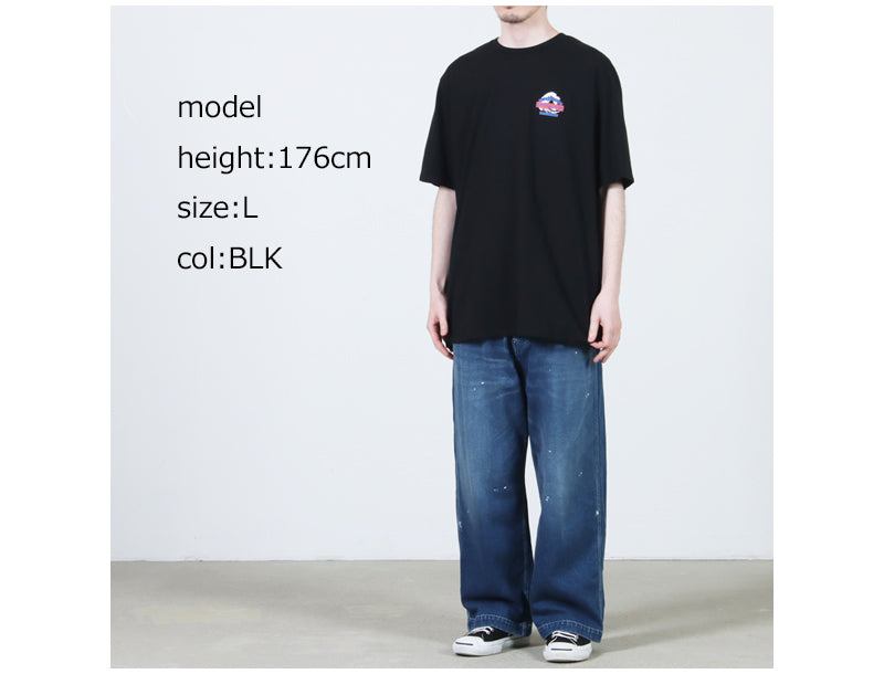 PATAGONIA(パタゴニア) M's Great Waves Responsibili-Tee 画像25