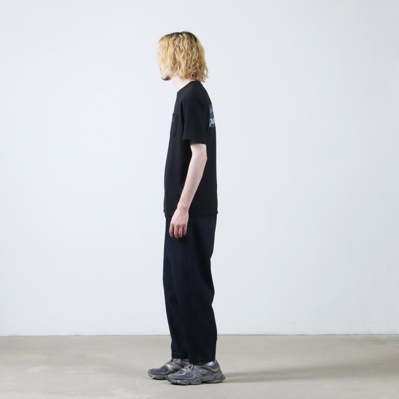 PATAGONIA(パタゴニア) M's Boardshort Logo Pocket Responsibili-Tee 画像22