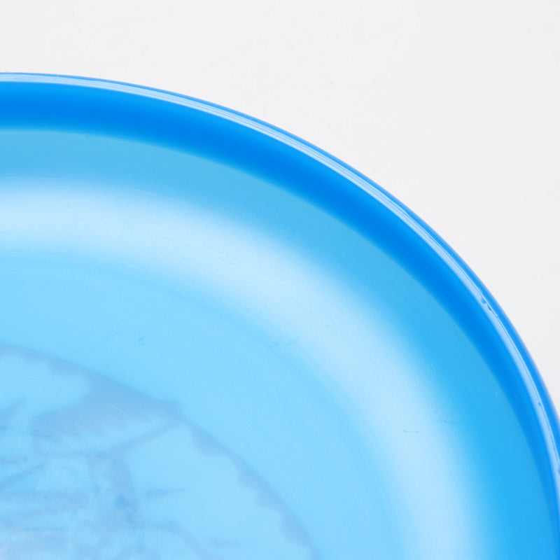 PATAGONIA(パタゴニア) Patagonia 50th Anniversary Logo Disc - Anvil 画像4