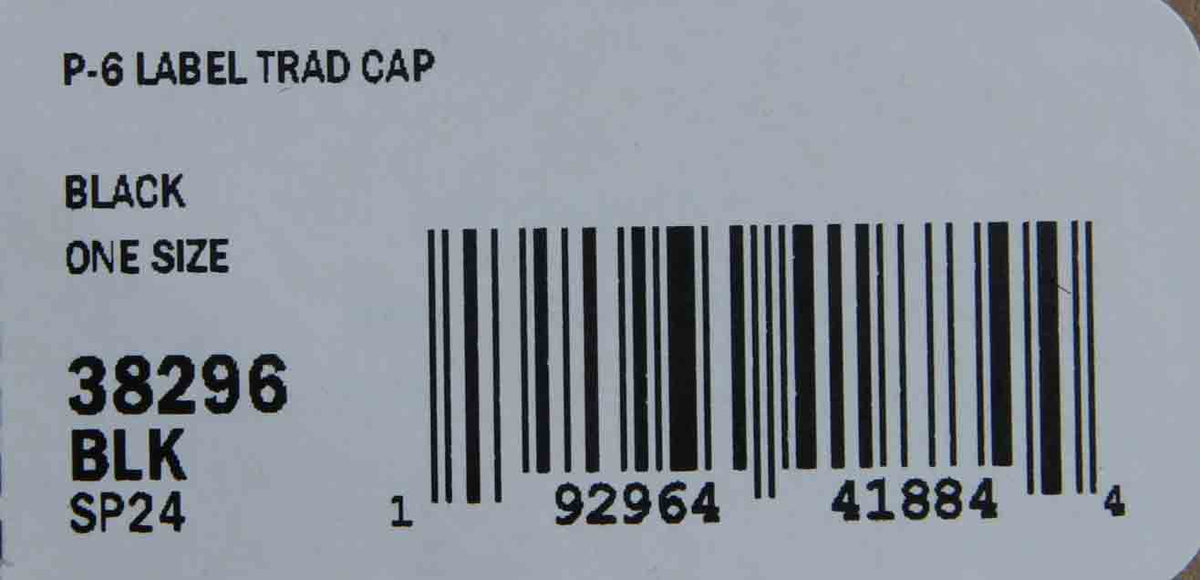 PATAGONIA(パタゴニア) P-6 Label Trad Cap 画像21
