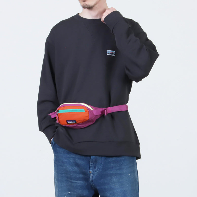 PATAGONIA(パタゴニア) Terravia Mini Hip Pack 1L 画像5