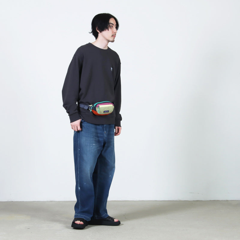 PATAGONIA(パタゴニア) Terravia Mini Hip Pack 1L 画像17