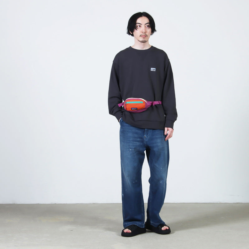 PATAGONIA(パタゴニア) Terravia Mini Hip Pack 1L 画像18