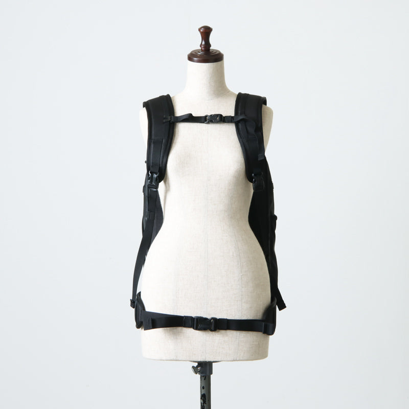 PATAGONIA(パタゴニア) Black Hole Mini MLC 30L 画像11