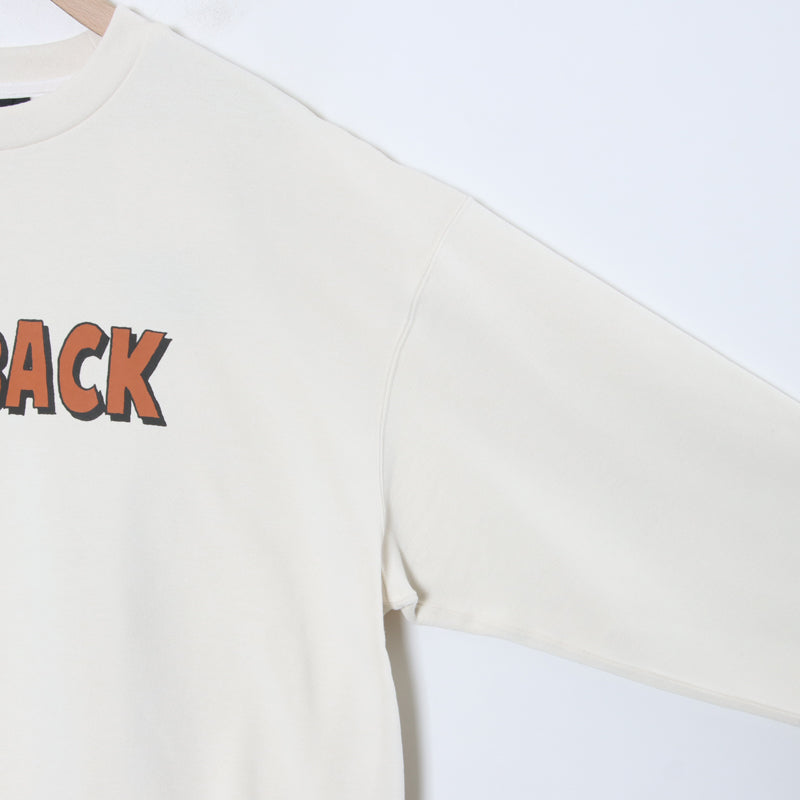 THE NORTH FACE(ザノースフェイス) LAYBACK Crew 画像23