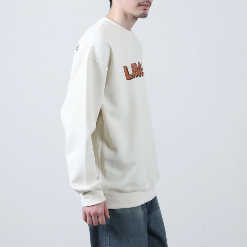 THE NORTH FACE(ザノースフェイス) LAYBACK Crew 画像7