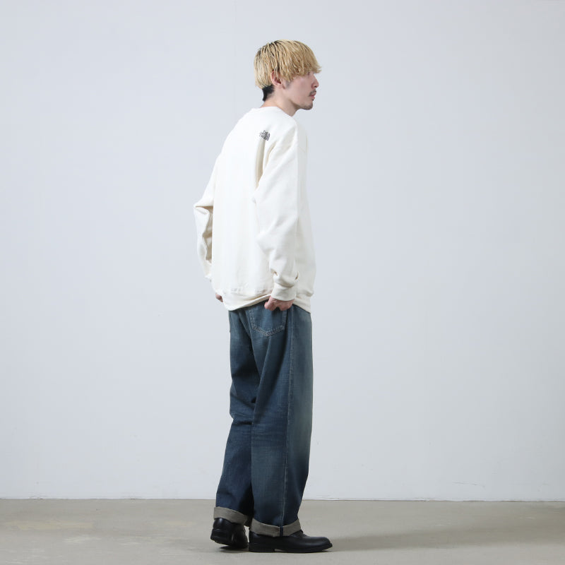 THE NORTH FACE(ザノースフェイス) LAYBACK Crew 画像9