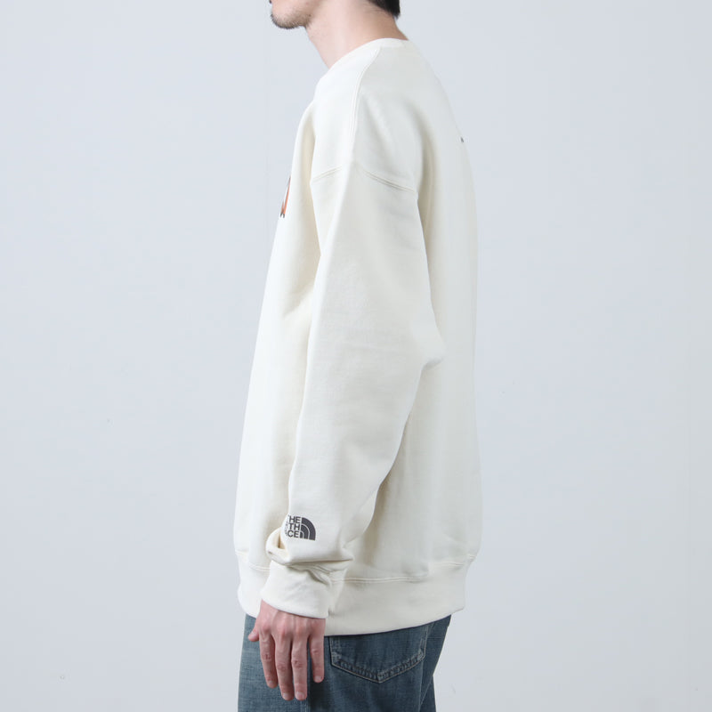 THE NORTH FACE(ザノースフェイス) LAYBACK Crew 画像11