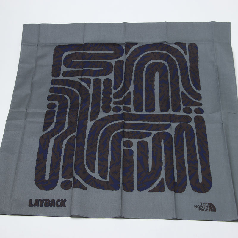 THE NORTH FACE(ザノースフェイス) Layback Bandana 画像9