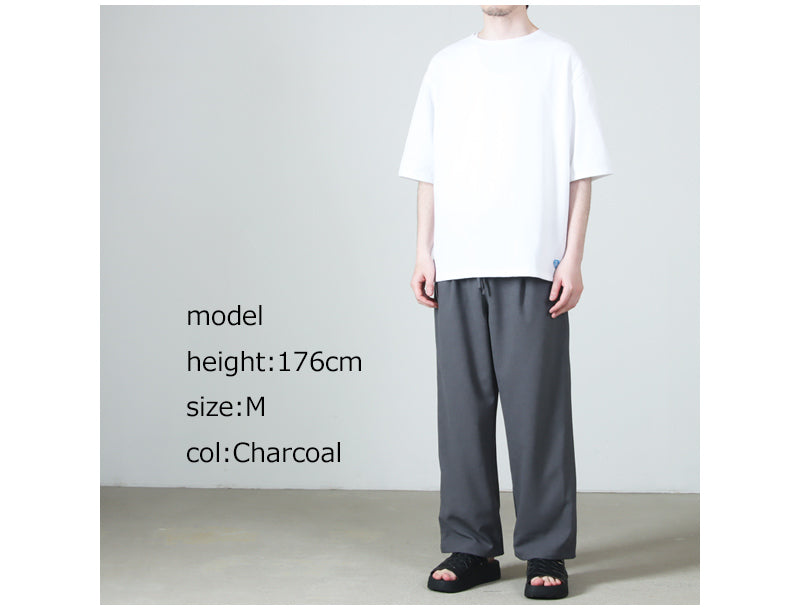 AXESQUIN(アクシーズクイン) CHEMICAL MONPE PANTS 画像28