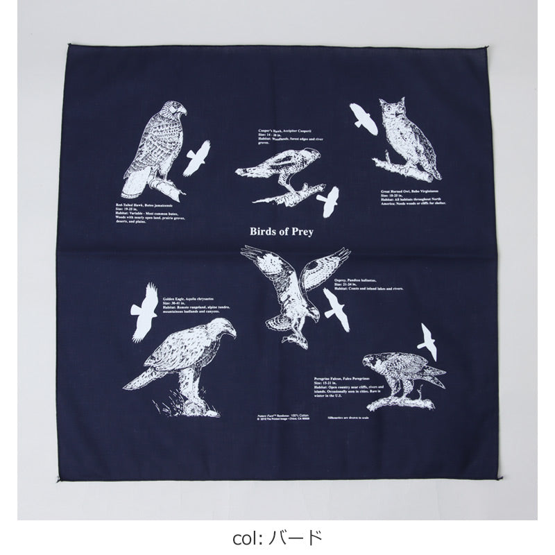 Printed Image(プリンティッドイメージ) ネイチャープリントバンダナ 画像12
